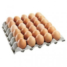 CHICKEN EGG (B) - 30PCS X TRAY