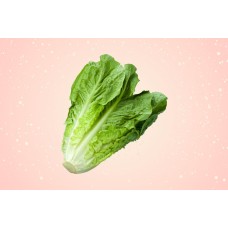 ROMAINE LETTUCE (KG)