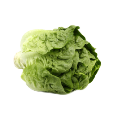 BABY ROMAINE (KG)