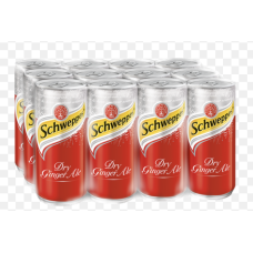 SOFT DRINKS SCHWEPPES GINGER ALE 320ML X 12CAN X CTN